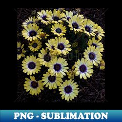 yellow flower bed photography my - png transparent digital download file for sublimation