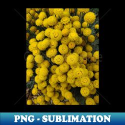 yellow flower bunch photography my - modern sublimation png file