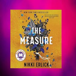the measure by nikki erlick