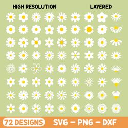 daisy svg bundle, daisy clipart png, wildflower svg, daisies, flower, cricut cut files, silhouette dxf, sublimation