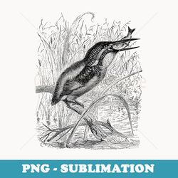 kingfisher bird print - stylish sublimation digital download