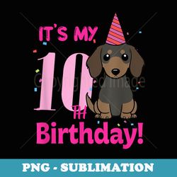 its my 10th birthday dachshund dog lover 10 years old puppy - sublimation png file