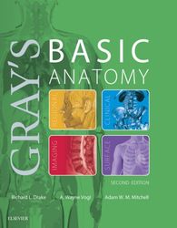 gray's basic anatomy 2nd pdf instant download