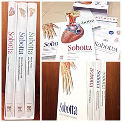sobotta atlas of human anatomy volume 1-2-3 15 pdf instant download