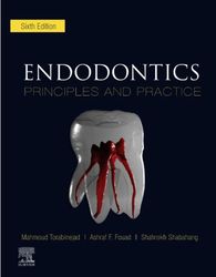 endodontics: principles and practice 6th pdf instant download