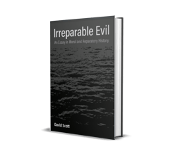 irreparable evil an essay in moral and reparatory history