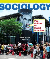 sociology: pop culture to social structure 3 pdf instant download