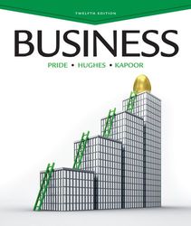 business 12 pdf instant download