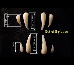 werewolf fangs teeth monster blanks animal teeth blanks set of 8 pieces teeth for crafts blanks replica animal tooth