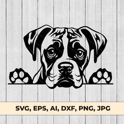 cute boxer peeking dog svg eps png