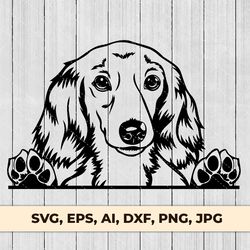 dachshund longhaired peeking dog svg dxf png