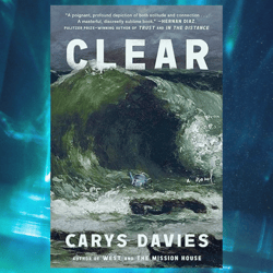 clear: a novel by carys davies