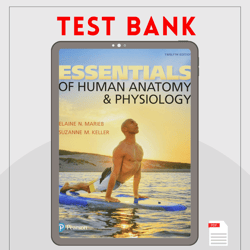 essentials of human anatomy & physiology 12th edition by marieb