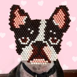 french bulldog pattern