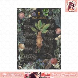 harry potter deathly hallows 2 mandrake floral description png download copy