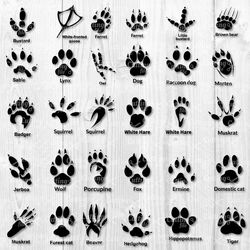 animal paw bundle svg, paw print svg, cat paw svg, dog paw svg, png dxf file