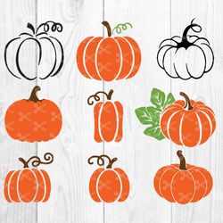 pumpkin bundle svg, pumpkin svg, fall svg, instant download