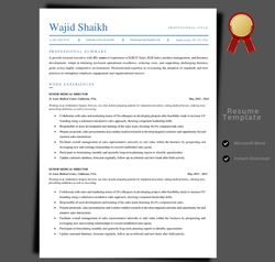 be your best professional with this resume template for your dream job