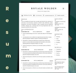 professional resume template, minimalist  1page resume template
