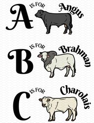 cattle breed abc alphabet ,kids shirt sublimation transfer ,png digital design , cow breeds, abc, angus, brahman, charol