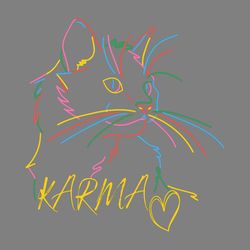 taylor swift karma is a cat svg graphic design files