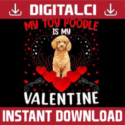 funny my toy poodle is my valentine png, toy poodle valentine day png, funny valentines png, valentine's day png