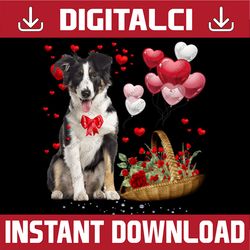 border collie hearts valentine's day png, collie dog lover png, border collie valentine's day, border collie lover png