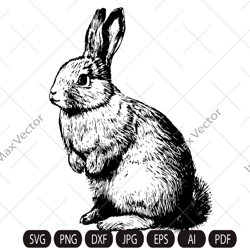 rabbit svg, bunny monogram, easter , hunter svg, files for cricut, peeking animal clipart