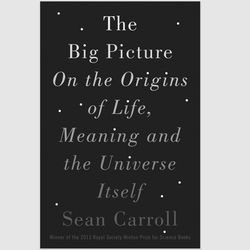 the big picture: on the origins of life, meaning, and the universe itself by sean carroll pdf ebook