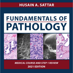 fundamentals of pathology : medical course and step 1 review by husain a. sattar (author)