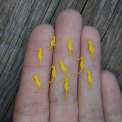 miniature clay sea horse 10 pcs, tiny fish for diorama, resin art or dollhouse aquarium