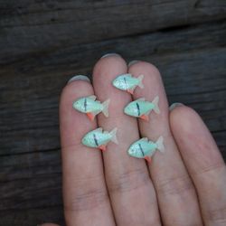 miniature black bar silver dollar fish 5 pcs, tiny fish for diorama, resin art, display or dollhouse aquarium