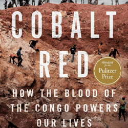 cobalt red: how the blood of the congo powers our lives by siddharth kara