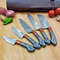 Master-Your-Kitchen-5-Piece-Professional-Chef's-Knife-Set-by-BladeMaster (6).png