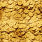 Hoard of Gold Roman Coins.jpg