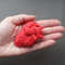 Red anatomical heart felt pattern.jpg