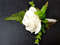 White-rose-wedding-boutonniere-4.jpg