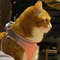 cat_harness_01.jpg