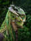 forest spirit mask dweller magic forest