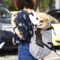 dogholderbackpack3.png