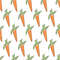 Carrot pattern line-01.jpg