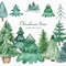 1-1 Christmas tree watercolor.jpg