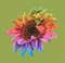 Rainbow sunflower pic 1.jpg