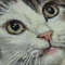 Realistic cat portrait8.jpg