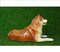 Statuette-red-husky (2).JPG