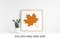 Autumn029----Mockup3.jpg