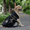 sacktrainerdogcarrierbackpack5.png