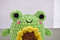 Amigurumi frog pattern .jpeg