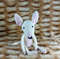 bull-terrier-amigurumi-pattern-23.jpg