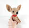 chihuahua amigurumi-33.jpg